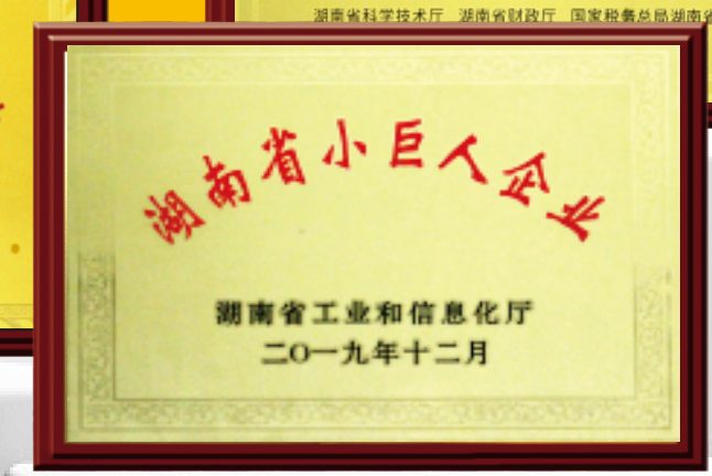 湖南省小巨人企业牌匾